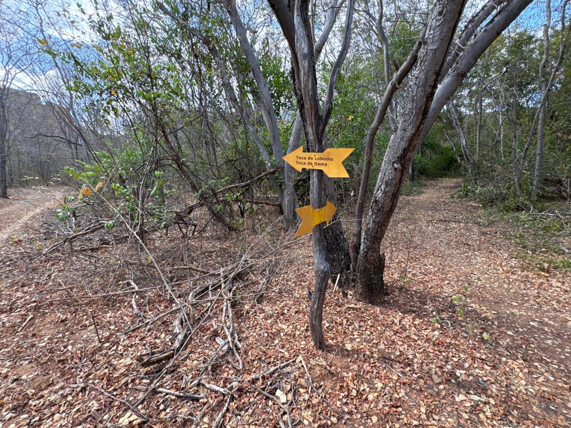 Casa Barreirinho Parque Nacional Serra Da Capivara Coronel Jose Dias Экстерьер фото