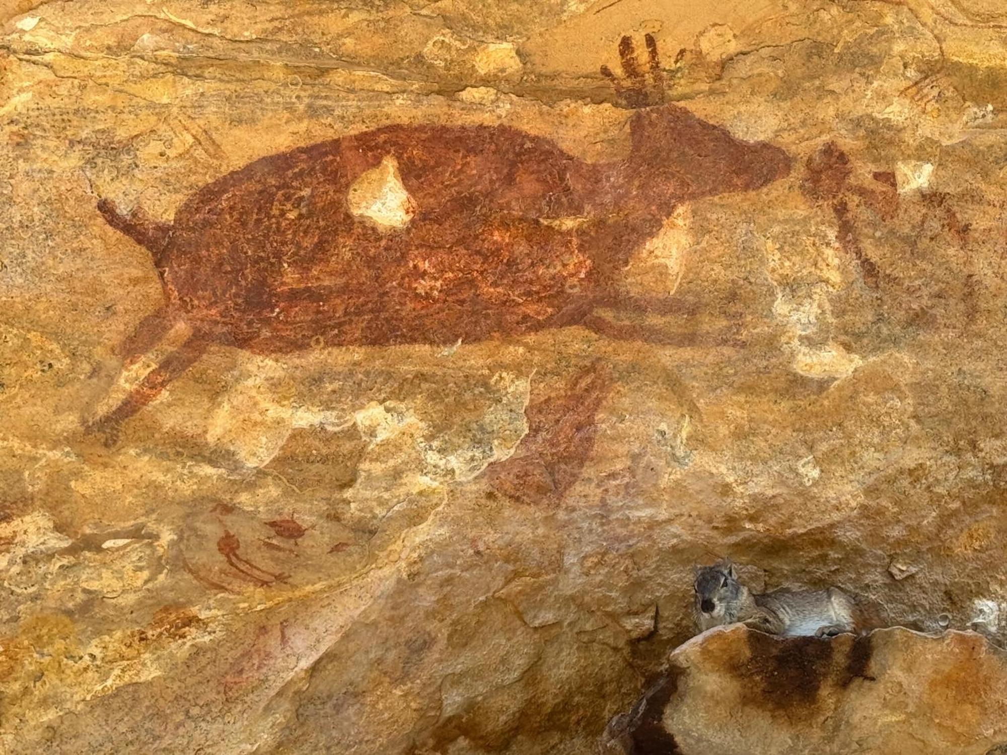 Casa Barreirinho Parque Nacional Serra Da Capivara Coronel Jose Dias Экстерьер фото
